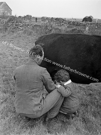 FATHER AND SON MILKING COW